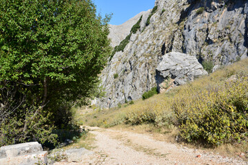 road on mountains going forward with rock and green tree in sunny day