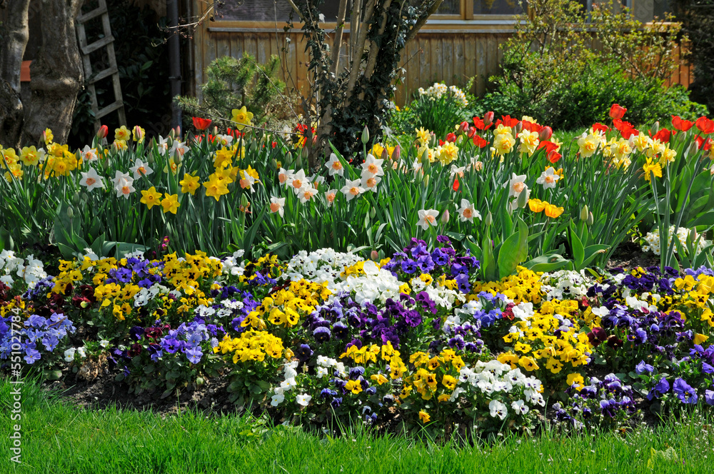 Canvas Prints blumengarten im frühling