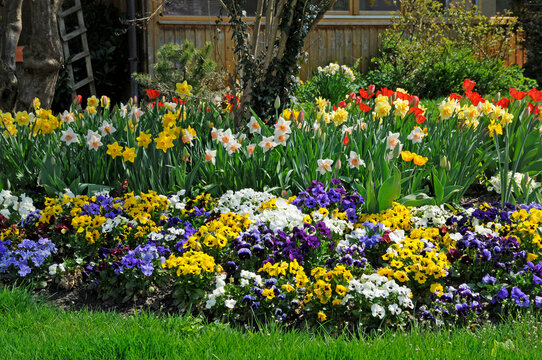 Blumengarten im Fr&uuml;hling