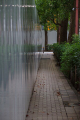 細い道の先に街路樹がある