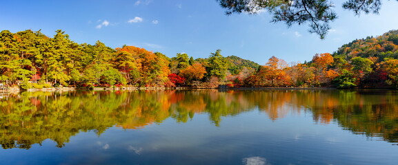 再度公園の秋の風景　神戸市西区にて
