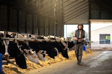 Farmer with a digital tablet in a cow farm. Herd management concept	