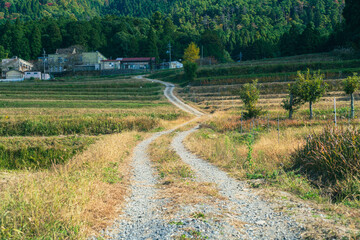 日本の田舎道