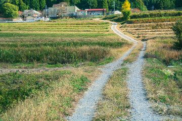 日本の田舎道