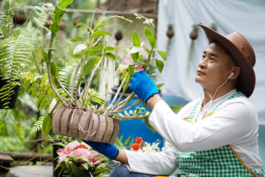 Handsome Asian man wears hat, white shirt, appron and gloves, takes care of houseplants, listen to music. Concept,  recreation activity, relax pastime. Gardening at home                         