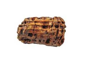 old vintage cork plug eaten by caries