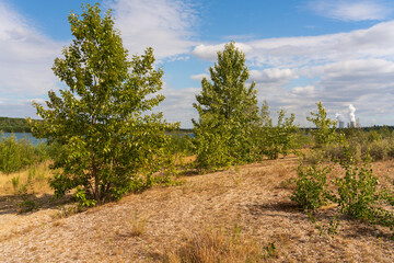 Zwenkauer See der größte See im Leipziger Neuseenland, Stadt Zwenkau, Landkreis Leipzig, Sachsen,...