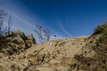Połonina Wetlińska  - Bieszczady 
