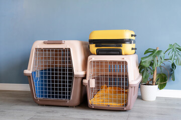Plastic pet carrier or pet cage and yellow suitcase on the floor at home, copy space