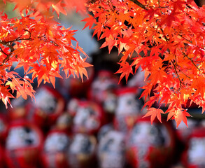 少林山達磨寺の紅葉と縁起達磨