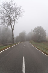Schafe auf dem Rußberg bei Tuttlingen
