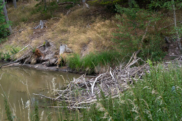 Biberburg im Naturpark Haßberge, Unterfranken, Franken, Bayern, Deutschland