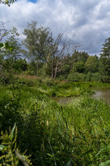 Kleiner See bei Sambachshof im Naturpark Haßberge, Landkreis Rhön-Grabfeld, Unterfranken, Franken, Bayern, Deutschland