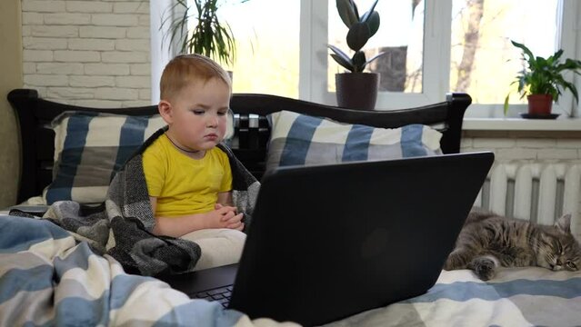 handsome little boy with a serious look in bed looks into a laptop. there is a cat nearby.
