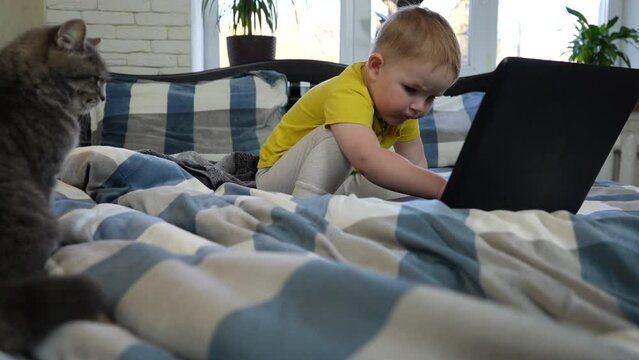 A little boy with a cat in bed looks at the laptop screen and presses the keys on the keyboard. Close-up. Video.	