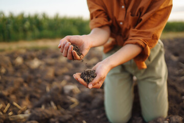 Female Hand of expert farmer collect soil and checking soil health before growth a seed of vegetable or plant seedling. Agriculture, gardening or ecology concept.