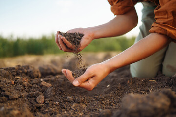 Female Hand of expert farmer collect soil and checking soil health before growth a seed of...