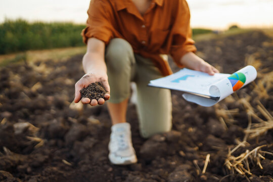 Female Hand of expert farmer collect soil and checking soil health before growth a seed of vegetable or plant seedling. Agriculture, gardening or ecology concept.