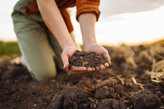 Female Hand of expert farmer collect soil and checking soil health before growth a seed of vegetable or plant seedling. Agriculture, gardening or ecology concept.