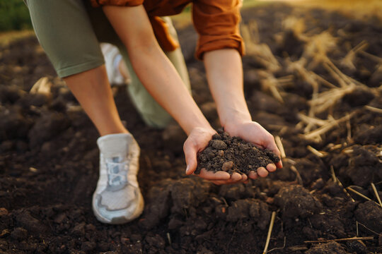 Female Hand of expert farmer collect soil and checking soil health before growth a seed of vegetable or plant seedling. Agriculture, gardening or ecology concept.