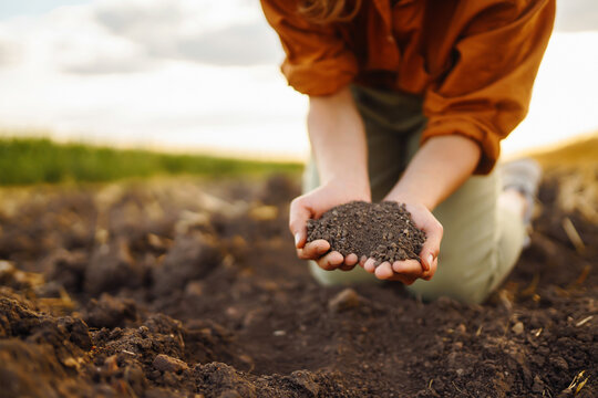 Female Hand of expert farmer collect soil and checking soil health before growth a seed of vegetable or plant seedling. Agriculture, gardening or ecology concept.
