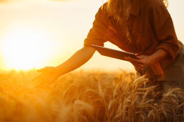 Female farmer  with tablet in the field. Agriculture, gardening, business or ecology concept. Growth dynamics. 