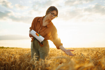 Farmer woman checking wheat field progress in a wheat field. Harvesting. Agro business.