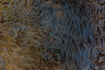 close up of a fur coat