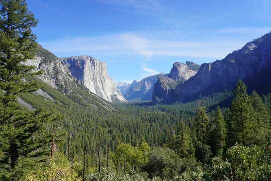 Low-angle of Lorentz national park view with trees and rocky cliffs sunlit clear sky background