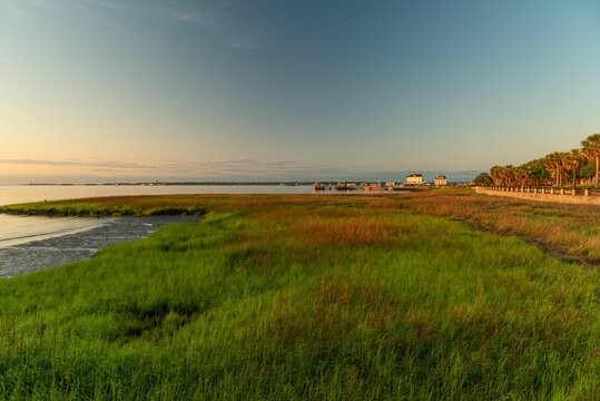 Early morning view over cordgrass with seascape view purple sky and sunlight background