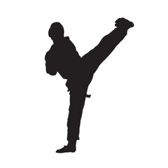 Karate martial art fighter vector silhouette.