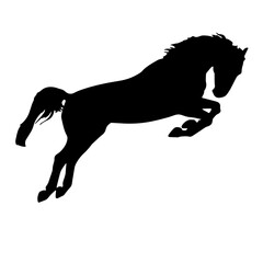 Fototapeta na wymiar Horse black silhouette Vector illustration.