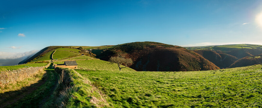 Hilltop Morning.