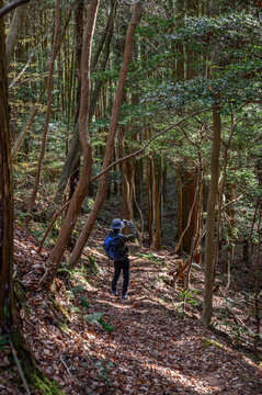 大岩ヶ岳