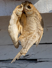 A close-up with fish hanging for dehydration