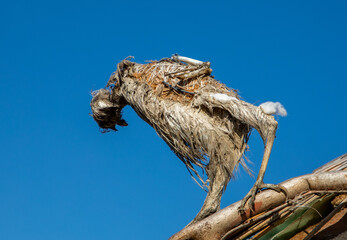 an old damaged stuffed bird