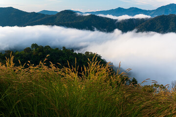 misty morning in the mountains