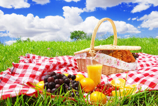 Picnic on spread on a sunny day