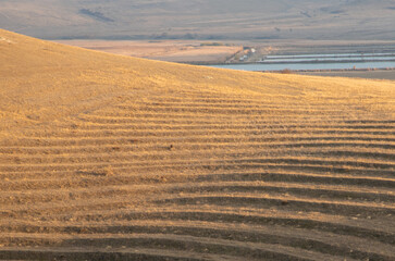 Terraced land on the slope of a hill