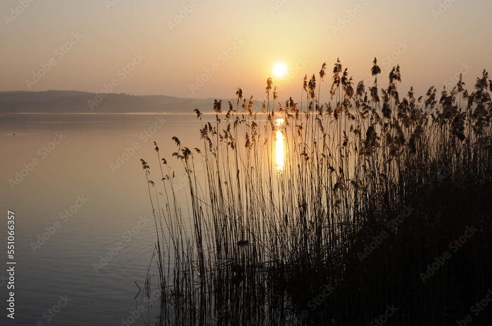 Canvas Prints Sonnenaufgang am Bodensee