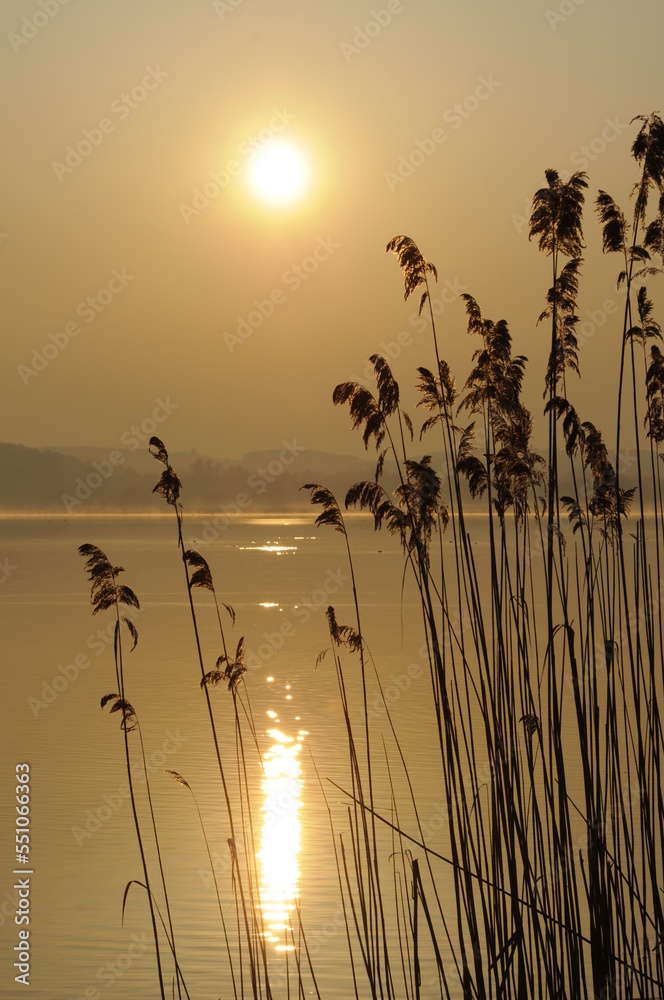 Wall mural Sonnenaufgang am Bodensee