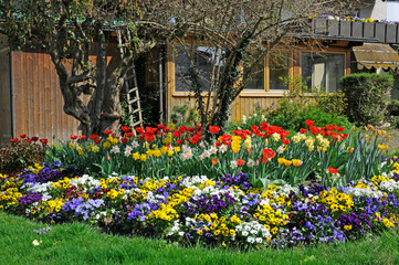 Obraz premium Blumengarten im Frühling