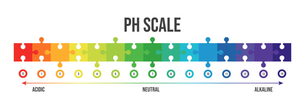 Vector illustration of pH scale isolated on white background. Color pH value scale chart meter infographic. Litmus paper indicator for acid-alkaline solution. 