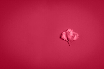 Flower petals on red background, minimalism concept. Natural background, copy space. Color of the Year 2023