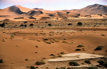 Wüstenpanorama - Traumhafte, schöne , farbige Wüstenlandschaft in der Namib Wüste in Namibia
