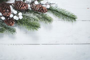 A spruce branch with bumps on a white wooden floor.