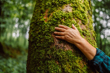 Girl hand touches a tree with moss in the wild forest. Forest ecology. Wild nature, wild life....