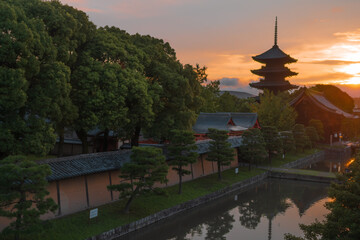 Fototapeta premium 東寺教王護国寺の朝焼け