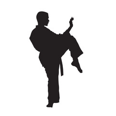 Illustration male karate fighter wearing uniform isolated vector silhouette. On white background.