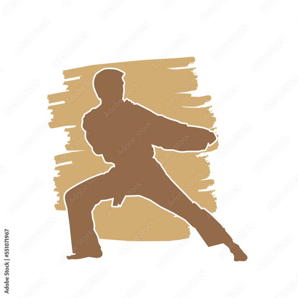 Canvas Prints Karate martial art fighter vector silhouette. on brown background.